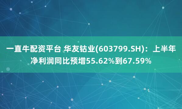 一直牛配资平台 华友钴业(603799.SH)：上半年净利润同比预增55.62%到67.59%