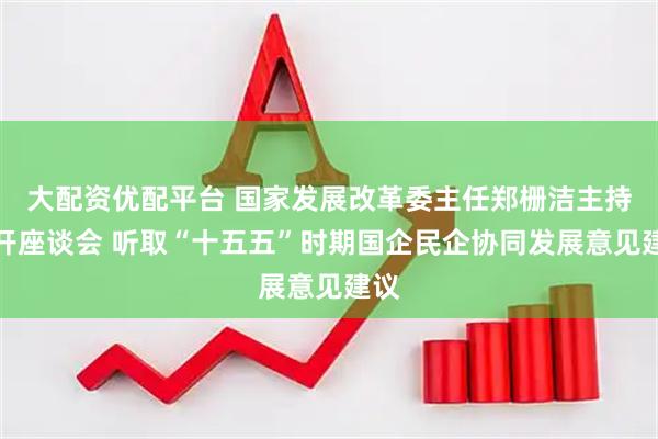 大配资优配平台 国家发展改革委主任郑栅洁主持召开座谈会 听取“十五五”时期国企民企协同发展意见建议