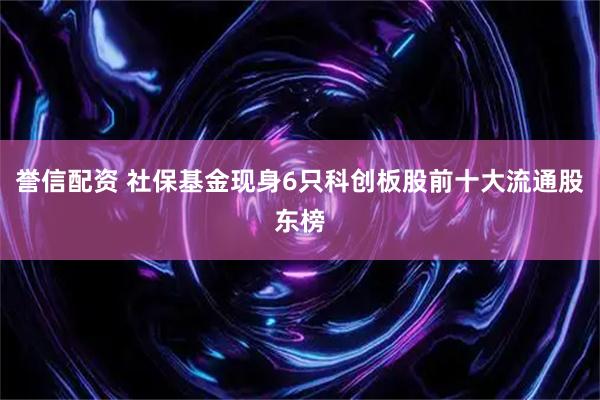 誉信配资 社保基金现身6只科创板股前十大流通股东榜