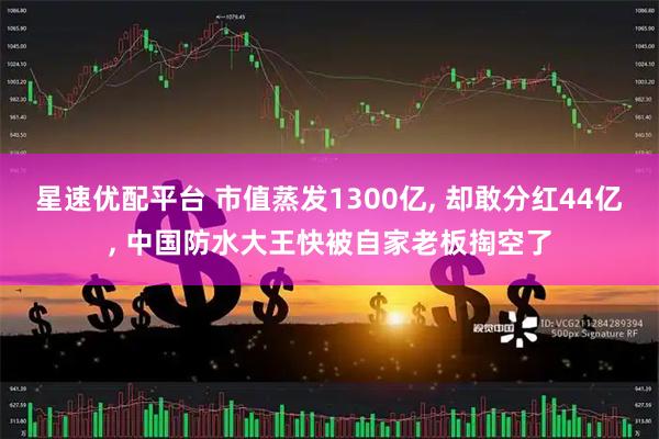 星速优配平台 市值蒸发1300亿, 却敢分红44亿, 中国防水大王快被自家老板掏空了